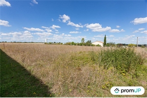 zi-zac à la vente -   17500  FONTAINES D OZILLAC, surface 3000 m2 vente zi-zac - UBI366845529
